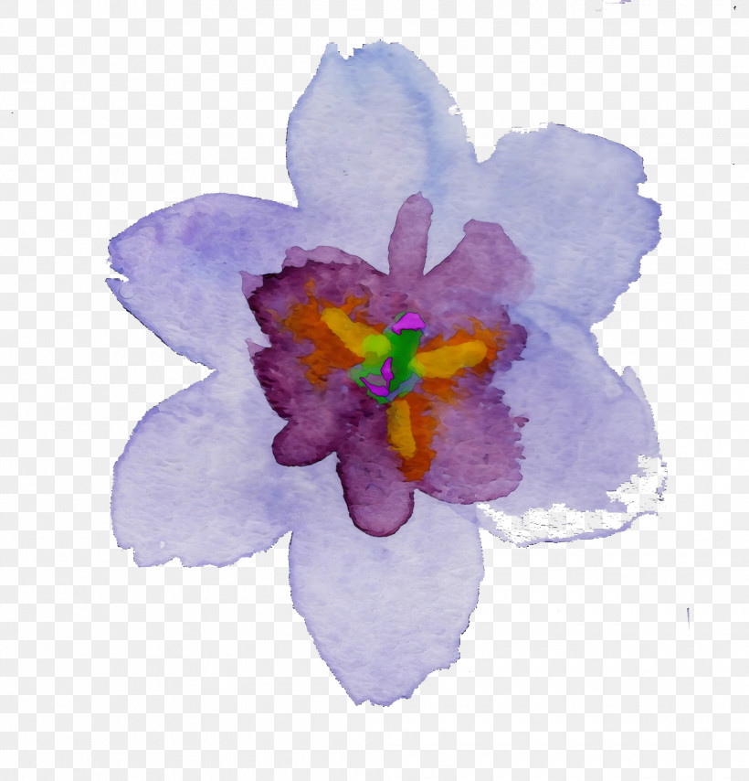 Petal Violet Flower Purple Watercolor Paint, PNG, 1960x2042px, Watercolor Flower, Cattleya, Crocus, Flower, Iris Download Free