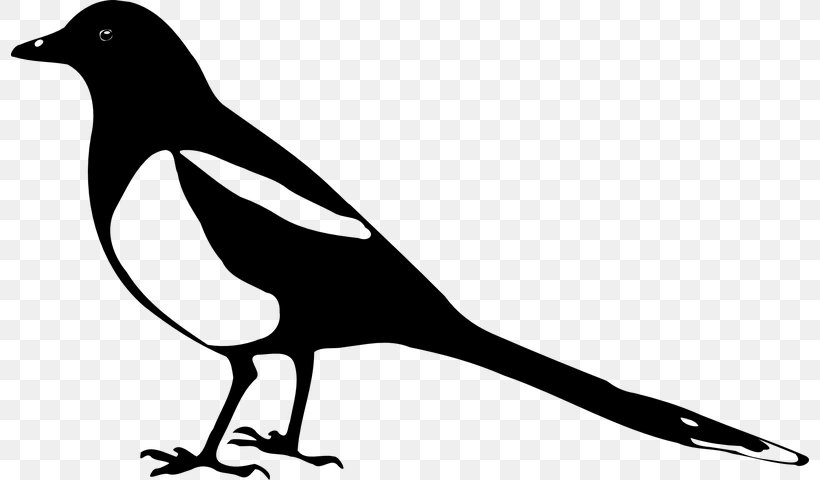 Family Silhouette, PNG, 798x480px, Eurasian Magpie, Australian Magpie, Beak, Bird, Blackandwhite Download Free