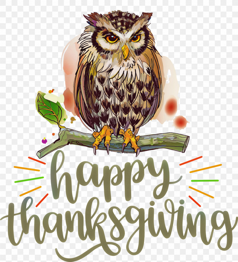 Happy Thanksgiving Thanksgiving Day Thanksgiving, PNG, 2716x3000px, Happy Thanksgiving, Beak, Biology, Bird Of Prey, Birds Download Free