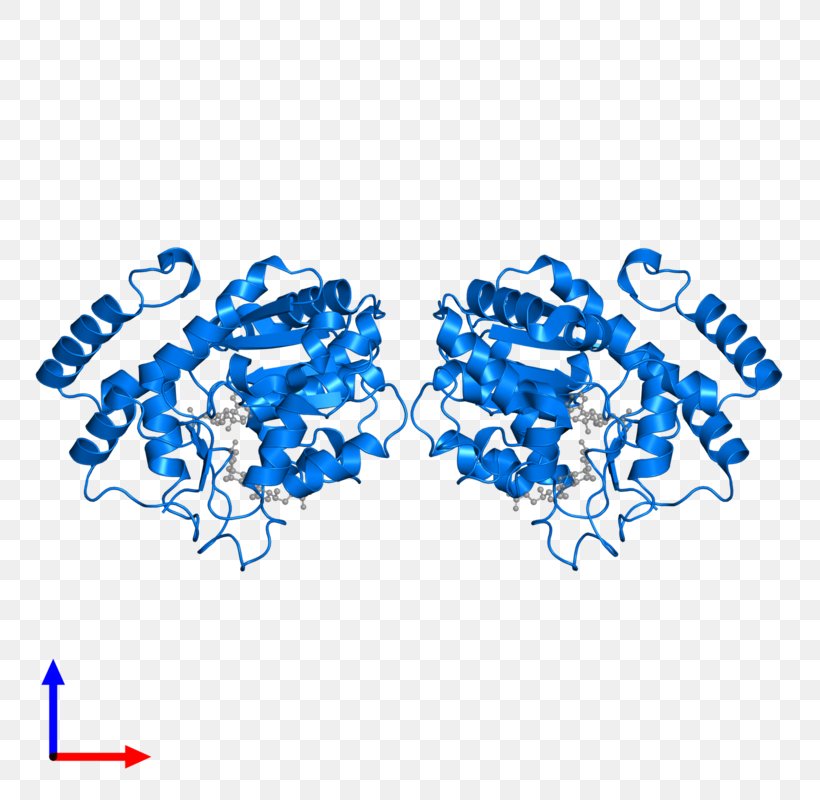 Logo Brand Font, PNG, 800x800px, Logo, Blue, Brand, Diagram, Electric Blue Download Free