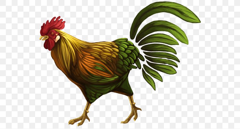 Rooster Chicken Drawing Clip Art, PNG, 576x441px, Rooster, Beak, Bird, Blog, Cartoon Download Free