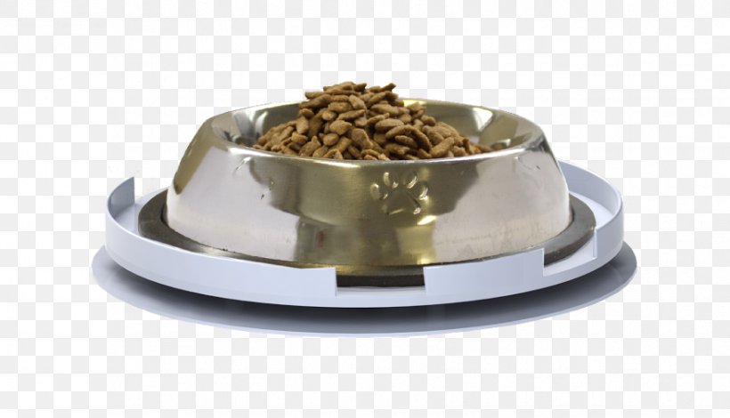 Bullet Ant Bowl Pet Cat, PNG, 878x504px, Ant, Ant Proof Plate, Bowl, Bullet Ant, Cat Download Free