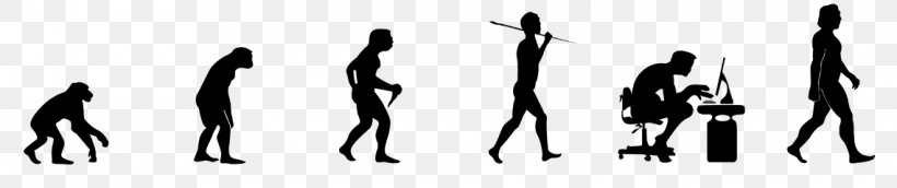 Human Evolution Homo Sapiens T-shirt Natural Selection, PNG, 1140x240px, Evolution, Black, Black And White, Bumper Sticker, Charles Darwin Download Free