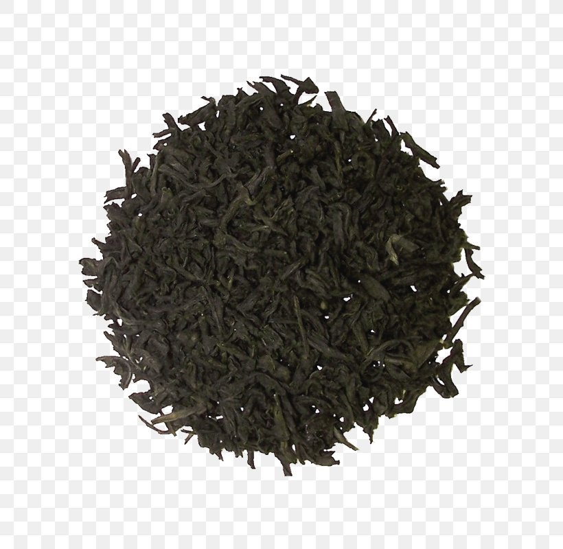 Nilgiri Tea Lapsang Souchong Tea Plant Fennel Flower, PNG, 800x800px, Nilgiri Tea, Assam Tea, Bancha, Black Cumin, Ceylon Tea Download Free