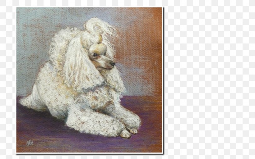 Standard Poodle Dog Breed Crossbreed, PNG, 912x570px, Standard Poodle, Breed, Carnivoran, Crossbreed, Dog Download Free