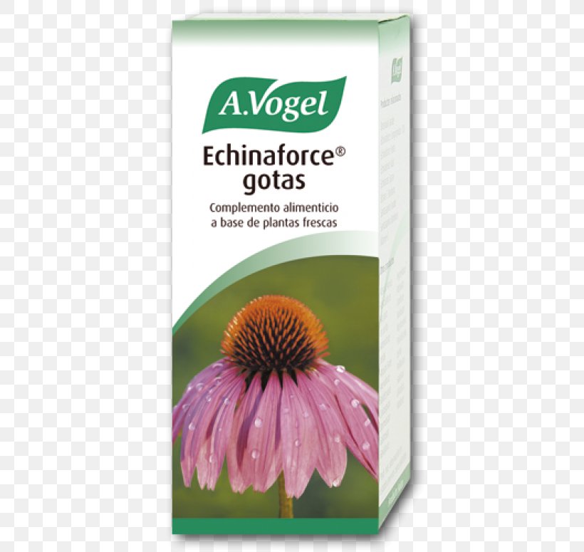 A.Vogel Echinaforce Hot Drink 100Ml Coneflower Common Cold Health, PNG, 600x775px, Coneflower, Alfred Vogel, Common Cold, Drink, Flower Download Free