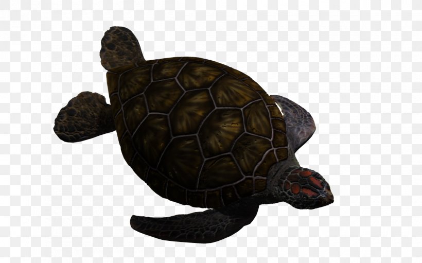 Box Turtle Sea Turtle, PNG, 1200x749px, 3d Computer Graphics, Turtle, Animal, Box Turtle, Chelydridae Download Free