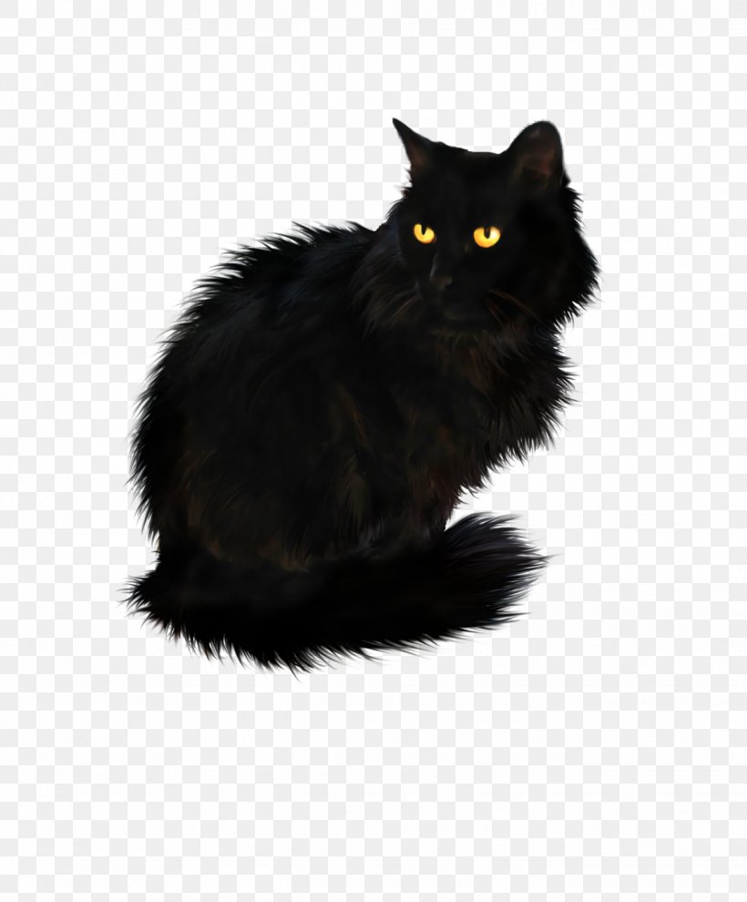 Persian Cat British Longhair Black Cat British Shorthair, PNG, 1325x1600px, Persian Cat, Asian Semi Longhair, Black, Black Cat, Bombay Download Free