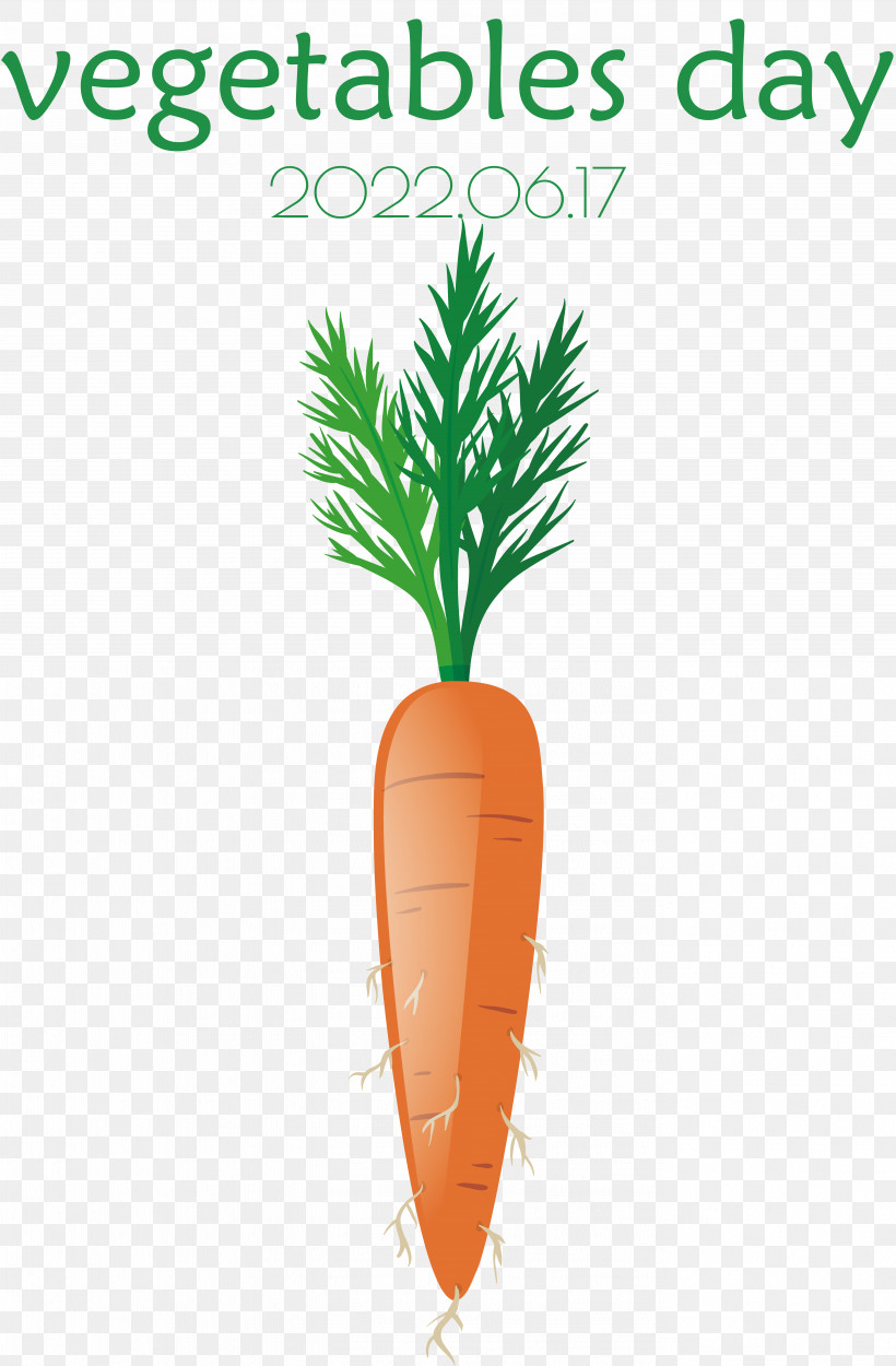 Salad, PNG, 5518x8414px, Carrot, Cartoon, Drawing, Leaf, Root Vegetables Download Free