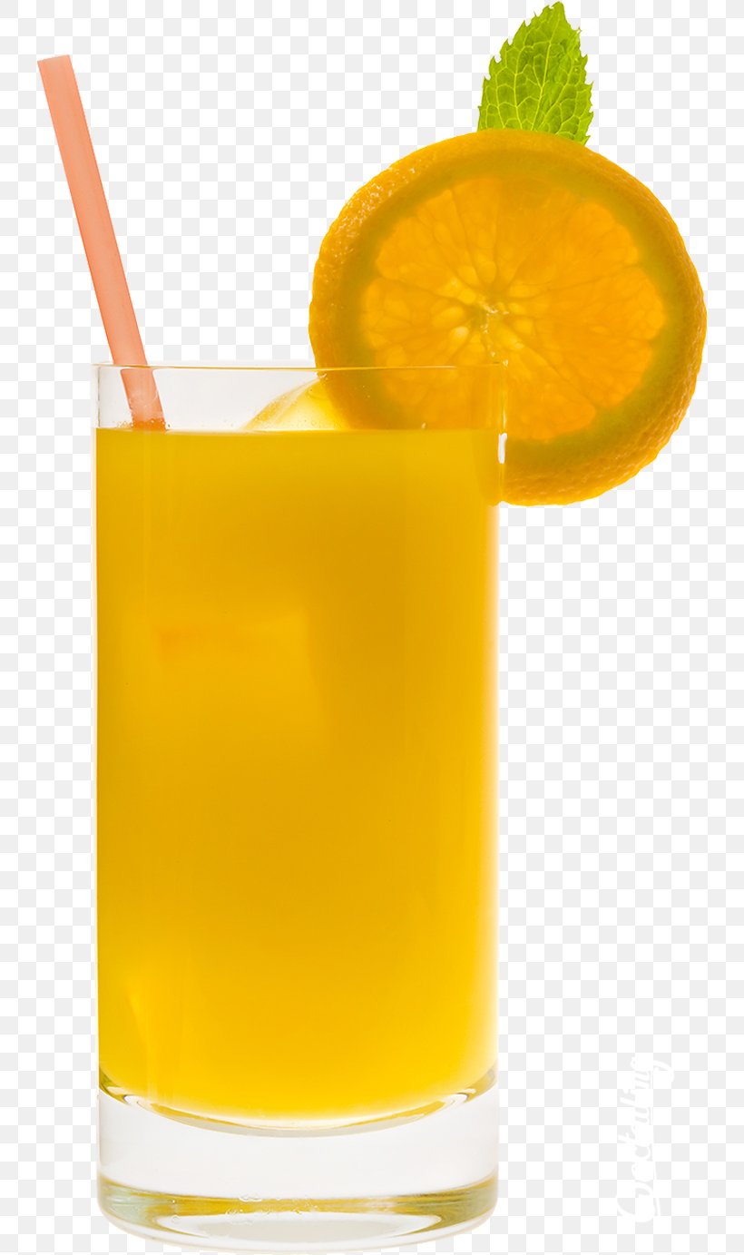 Screwdriver Cocktail Orange Juice Vodka, PNG, 740x1383px, Screwdriver, Agua De Valencia, Alcoholic Drink, Bacardi Cocktail, Bloody Mary Download Free