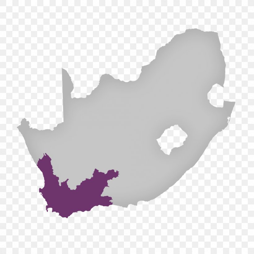 South Africa Vector Graphics Vector Map Illustration, PNG, 1000x1000px, South Africa, Africa, Flag Of South Africa, Map, Purple Download Free