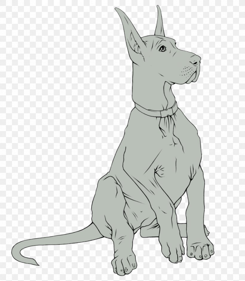 Dog Breed Great Dane Puppy Line Art Coat, PNG, 900x1036px, Dog Breed, Black And White, Breed, Carnivoran, Coat Download Free