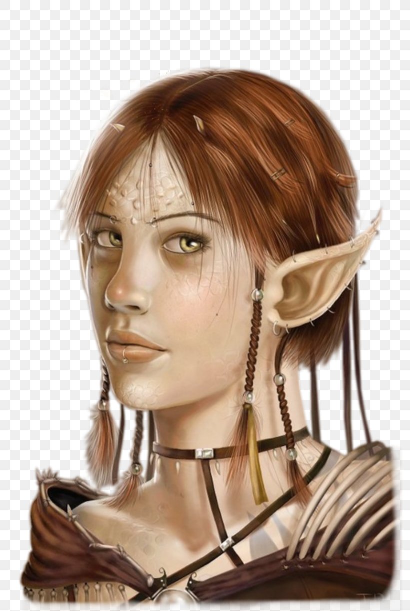 Elf Fairy Dungeons & Dragons High Fantasy, PNG, 800x1222px, Elf, Brown Hair, Chin, Dungeons Dragons, Enchanted Forest Download Free