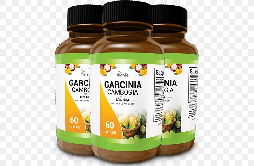 Garcinia Cambogia Weight Loss Dietary Supplement Food Adipose Tissue, PNG, 563x538px, Garcinia Cambogia, Adipose Tissue, Appetite, Brand, Detoxification Download Free