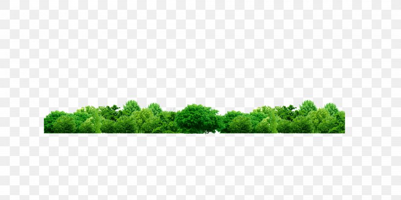 Green Tree Shrub Pattern, PNG, 4000x2000px, Green, Brand, Grass, Leaf, Plant Download Free