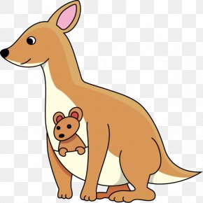 Joey Kangaroo Clip Art, PNG, 750x552px, Kangaroo, Animal Figure ...