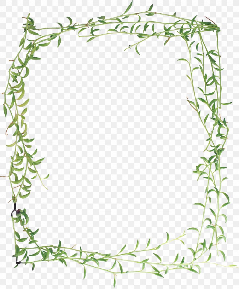 Picture Frames Photography Window Clip Art, PNG, 2458x2980px, Picture Frames, Area, Border, Branch, Designer Download Free