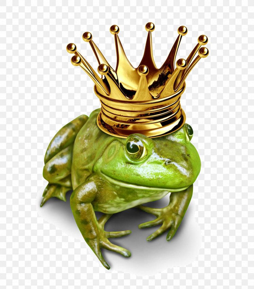 The Frog Prince Stock Illustration Stock Photography, PNG, 1100x1250px, Frog Prince, Amphibian, Drawing, Fairy Tale, Fotosearch Download Free