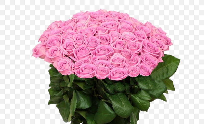 Garden Roses Tsvety Na Oktyabr'skoy Floral Design Cut Flowers, PNG, 650x500px, Garden Roses, Annual Plant, Artificial Flower, Centifolia Roses, Cut Flowers Download Free