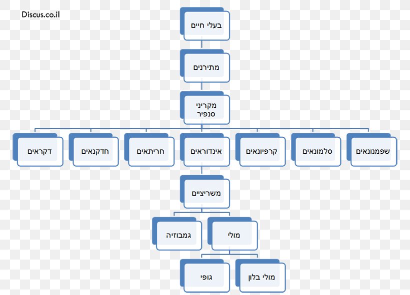 Melipilla Text Concept Map, PNG, 800x591px, Melipilla, Age, Area, Brand, Concept Download Free