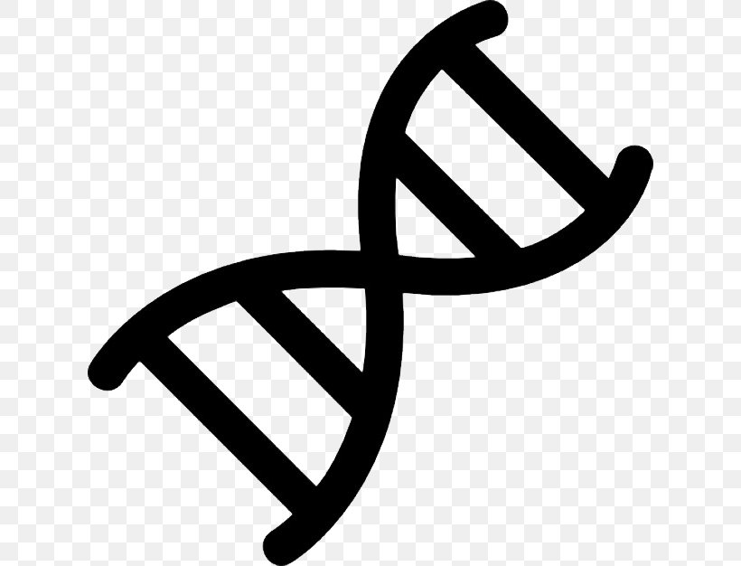 Nucleic Acid Double Helix DNA Symbol Genetics, PNG, 626x626px, Nucleic Acid Double Helix, Adna, Biology, Black And White, Brand Download Free