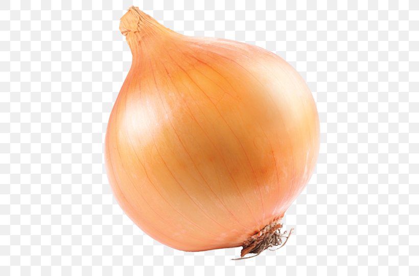 Yellow Onion Red Onion Pearl Onion White Onion, PNG, 544x540px, Yellow Onion, Depositphotos, Food, Garlic, Ingredient Download Free