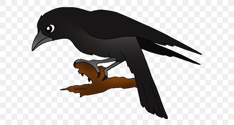 Baltimore Ravens Common Raven Clip Art, PNG, 648x439px, Baltimore Ravens, Beak, Bird, Bird Of Prey, Blog Download Free