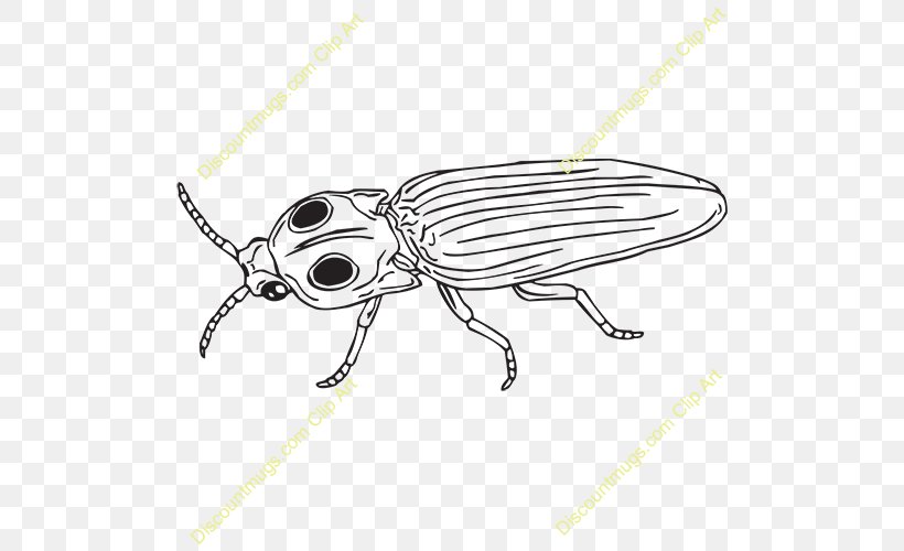 Beetle Clip Art Weevil Butterfly /m/02csf, PNG, 500x500px, Beetle, Arthropod, Artwork, Black, Black And White Download Free