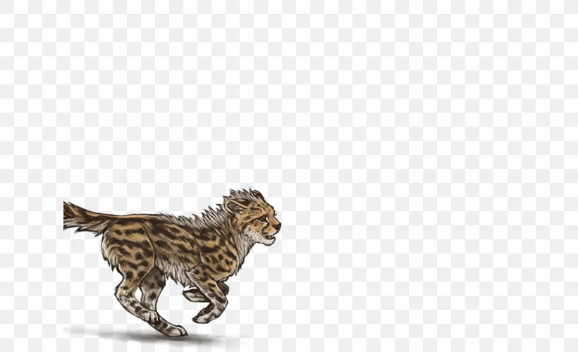 Cheetah Cat Animal Mammal Carnivora, PNG, 640x500px, Cheetah, Animal, Animal Figure, Big Cat, Big Cats Download Free