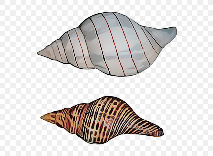 Conch Conch Shankha Sea Snail Shell, PNG, 590x600px, Conch, Sea Snail, Shankha, Shell Download Free