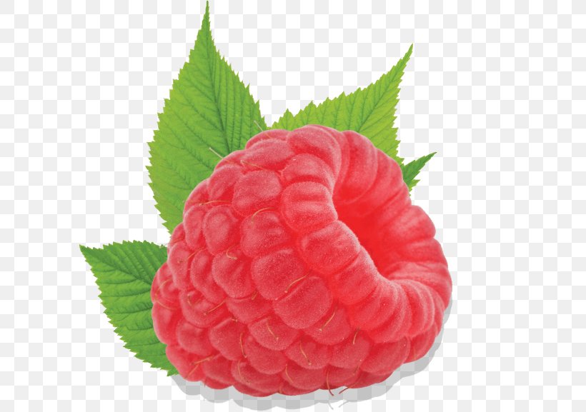 Strawberry Red Raspberry Accessory Fruit, PNG, 600x577px, Strawberry, Accessory Fruit, Auglis, Berry, Food Download Free