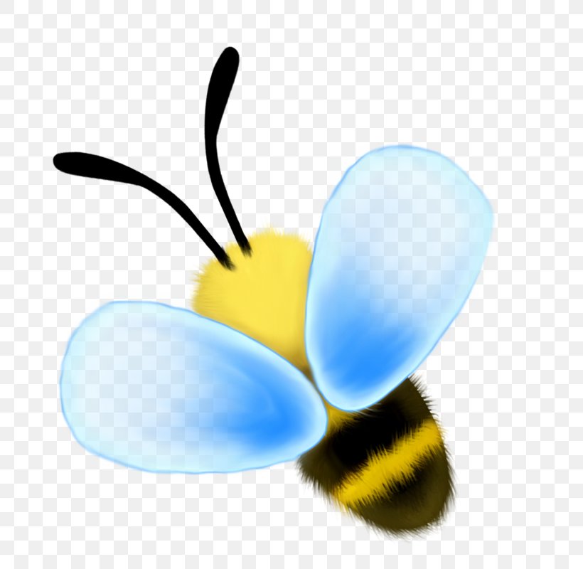 Bee Honey Clip Art, PNG, 800x800px, Bee, Albom, Butterfly, Computer, Garden Roses Download Free