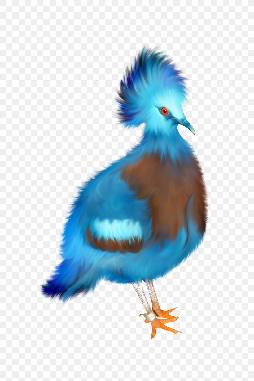 Bird Blue, PNG, 2263x3400px, Bird, Beak, Blue, Bluebird, Cobalt Blue Download Free