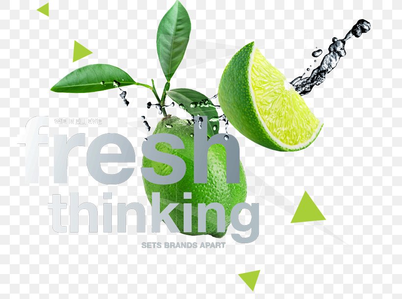 Logo Brand Desktop Wallpaper, PNG, 750x611px, Logo, Brand, Citrus, Computer, Food Download Free