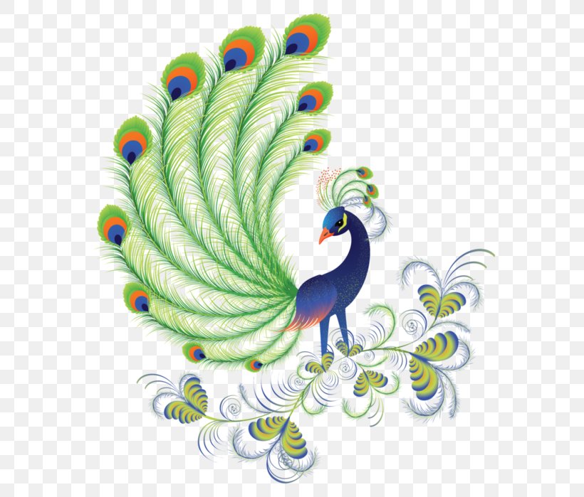 Peafowls, Peacocks And Peahens. Including Facts And Information About Blue, White, Indian And Green Peacocks. Breeding, Owning, Keeping And Raising Peafowls Or Peacocks Covered. Bird Feather Green Peafowl, PNG, 580x699px, Peafowl, Beak, Bird, Chicken, Feather Download Free