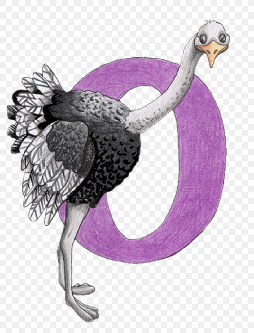 Alphabet Bird Material Didàctic Common Ostrich, PNG, 800x1075px, Alphabet, Animal, Beak, Bird, Chicken Download Free