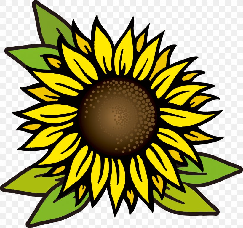 Common Sunflower Royalty-free Drawing, PNG, 1100x1034px, Common Sunflower, Art, Artwork, Black And White, Cut Flowers Download Free