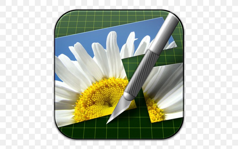 Energy Flower Yellow, PNG, 512x512px, Thumbs, Canon, Company, Energy, Flower Download Free