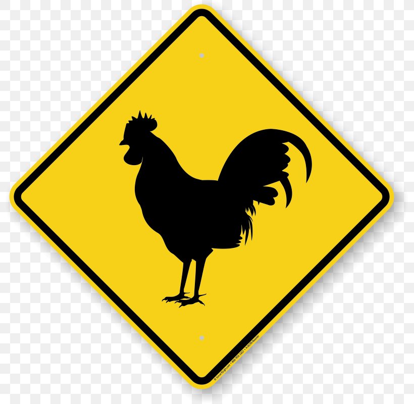 Car Driving Traffic Light Traffic Sign Road, PNG, 800x800px, Car, Beak, Bird, Chicken, Driving Download Free