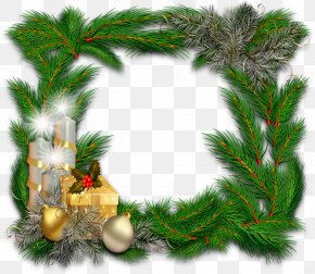 Fir Conifer - Christmas Frame Christmas Border Christmas Decor PNG
