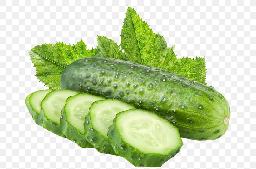 Vegetable Pickled Cucumber Slicing Cucumber Fruit, PNG, 680x543px, Vegetable, Cabbage, Cucumber, Cucumber Gourd And Melon Family, Cucumis Download Free