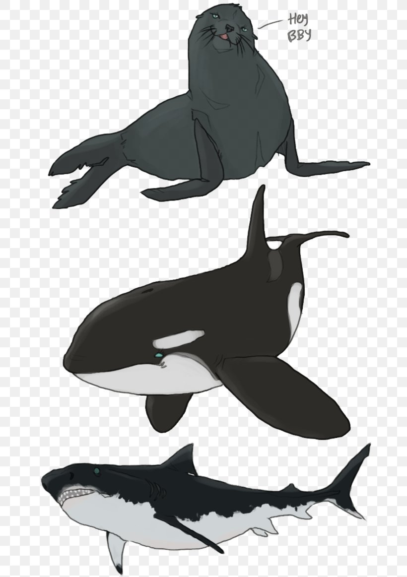 Killer Whale Dolphin Flightless Bird Beak, PNG, 686x1163px, Killer Whale, Beak, Bird, Black And White, Cartoon Download Free