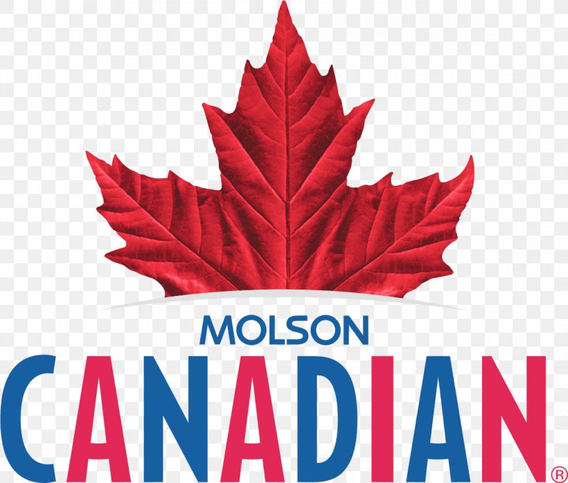 Molson Brewery Beer Canada Molson Canadian Molson Coors Brewing Company, PNG, 1163x989px, Molson Brewery, Alcohol By Volume, American Lager, Beer, Brand Download Free