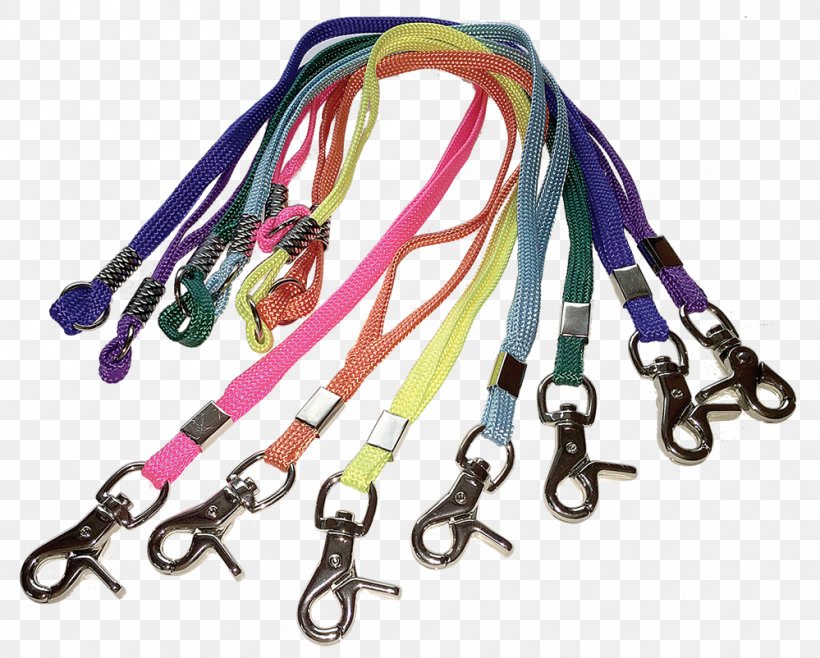 Pet-Agree Grooming Supplies Leash Shiloh Road East Dog Grooming, PNG, 999x802px, Leash, Alpharetta, Dog Grooming, Fashion Accessory, Georgia Download Free
