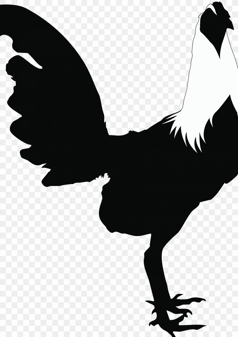 Rooster Cochin Chicken Andalusian Chicken Houdan Chicken Silhouette, PNG, 1697x2400px, Rooster, Andalusian Chicken, Beak, Bird, Black And White Download Free