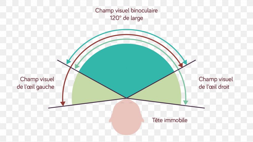 Brand Line Angle, PNG, 1920x1081px, Brand, Area, Diagram, Microsoft Azure, Sky Download Free