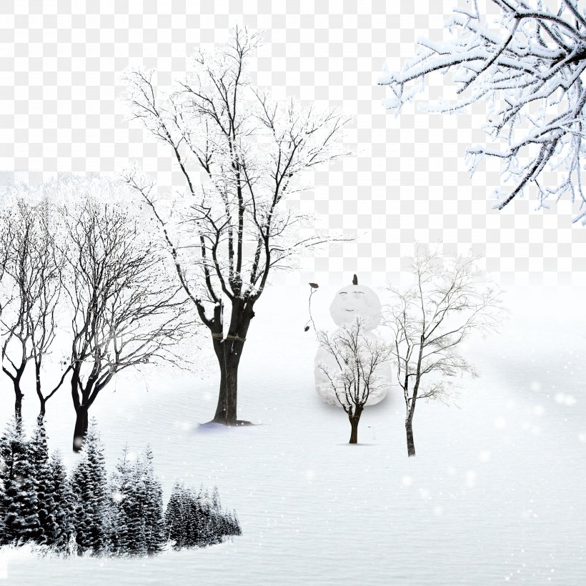Landscape Snow Winter Wallpaper, PNG, 2500x2500px, Landscape, Black And White, Blizzard, Branch, Ecological Design Download Free