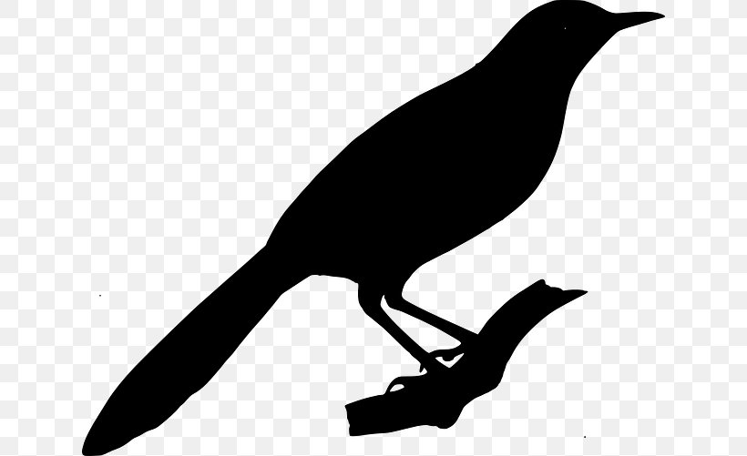 New Caledonian Crow Clip Art Royalty-free, PNG, 640x501px, New Caledonian Crow, Beak, Bird, Blackbird, Boat Tailed Grackle Download Free