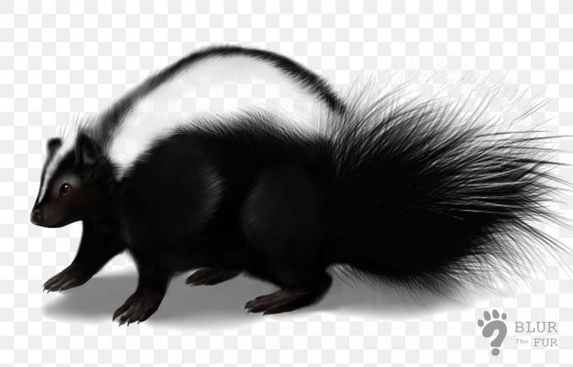 Skunks Transparency Clip Art Image, PNG, 1224x784px, Skunks, Black And White, Common Opossum, Drawing, Fauna Download Free