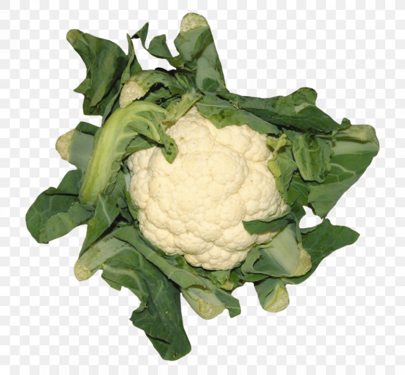 Cauliflower Cheese Cauliflower Recipes Vegetable Broccoli, PNG, 850x788px, Cauliflower Cheese, Broccoli, Cabbage, Cauliflower, Collard Greens Download Free
